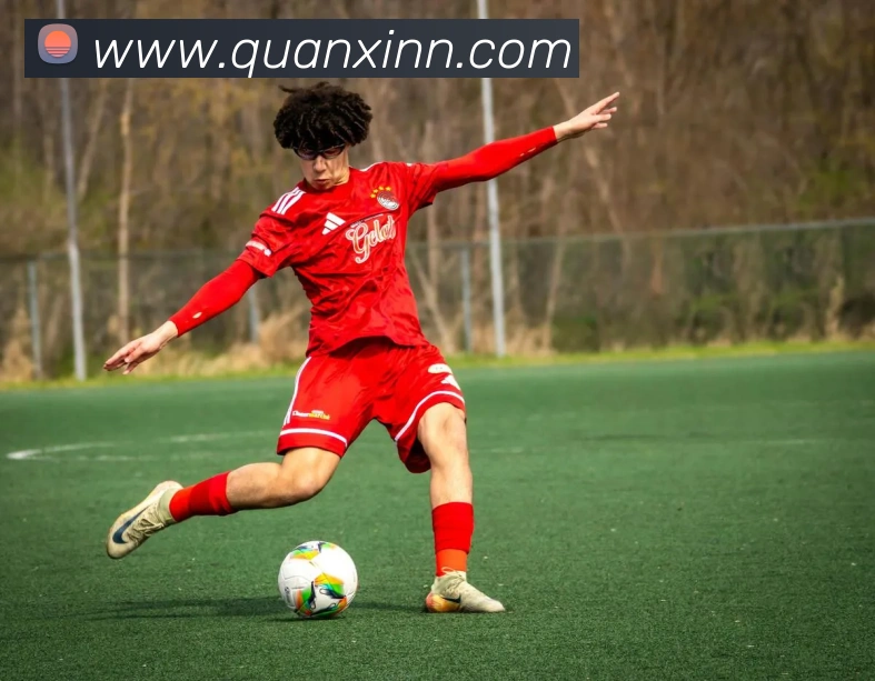 多彩内容专区